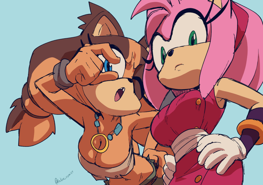 1girl 2_girls 2d amy_rose amy_rose_(boom) anthro badger big_breasts blue_eyes breasts cleavage color dress female_only furry green_eyes hands_on_hips hanging_breasts hedgehog inker_comics inkershike jpeg necklace sega sonic_boom sonic_the_hedgehog_(series) sticks_the_badger tagme