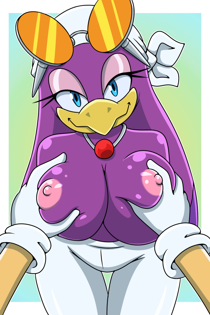 1boy 1girl anthro areola avian beak big_breasts bird blue_eyes breast_grab breasts clothed clothing eyewear furry headgear hedgehog huge_breasts interspecies looking_at_viewer male_pov nipples offscreen_character pov purple_body sega smile solo_focus sonic_riders sonic_the_hedgehog sonic_the_hedgehog_(series) sonicguru swallow_(bird) topless wave_the_swallow