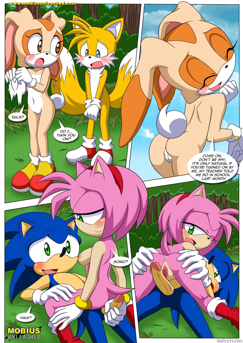 amy_rose ass cream_the_rabbit mobius_unleashed penis sex sonic_the_hedgehog tagme tails_the_fox
