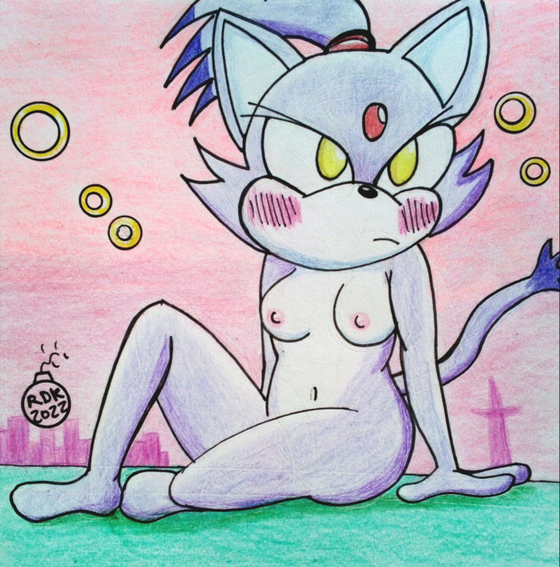 1girl 1girl blaze_the_cat breasts feline nude rdk sega sonic_the_hedgehog_(series)